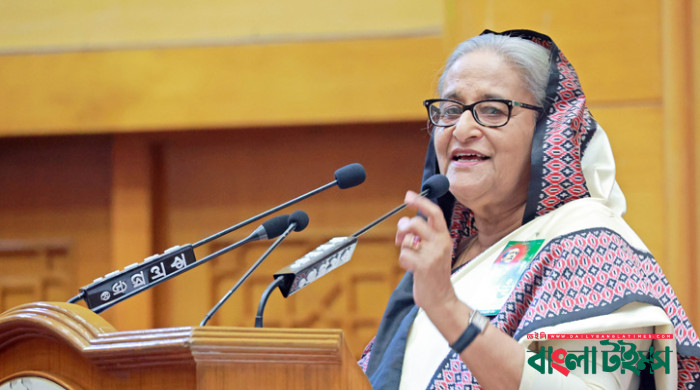 Electricity problem to end in 10-15 days: PM Hasina